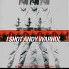 I Shot Andy Warhol
