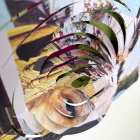 POPtical Illusion illusionary twirling paper
