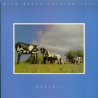 David J. - Blue Moods Turning Tail
