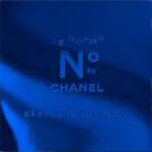 Bertrand Burgalat - Le Grand Num�ro De Chanel Par Bertrand Burgalat