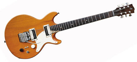 Stratocaster Spalt with Linear Tremolo