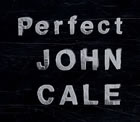 Promo copy Perfect