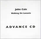 Walking On Locusts promo