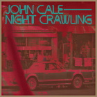 Night Crawling