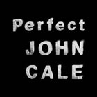Perfect